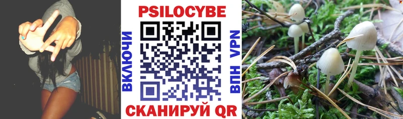 Галлюциногенные грибы мицелий  купить   blacksprut ONION  Буинск 